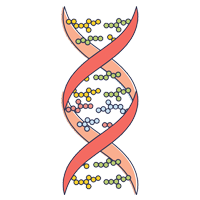 DNA