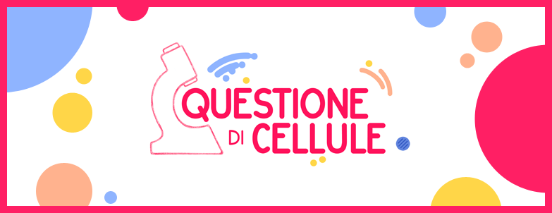 Formazione per insegnanti Questione di Cellule